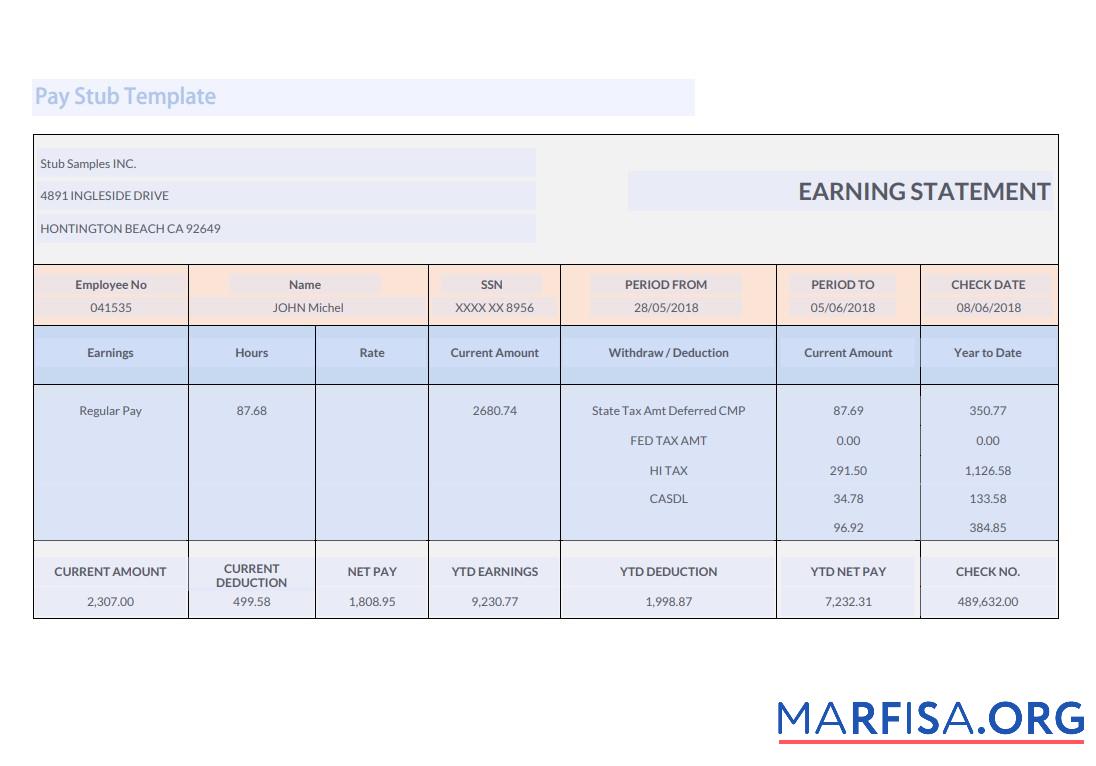 Realistic Stub Samples INC earnings statement sample